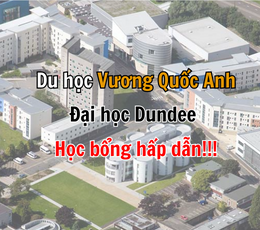 DuhcVngQucAnh.png