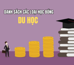 Nidungonvnbncabn6.png