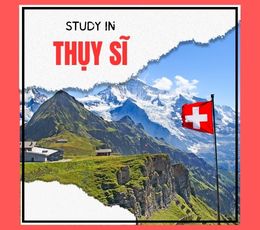 STUDYIN.jpg