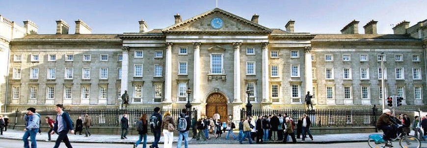 TCD-01.jpg