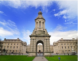 TCD-02.jpg