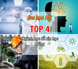 TOP4.png