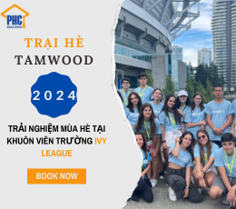 Tamwood.png
