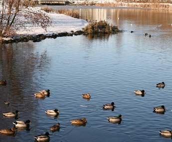 du-hoc-ireland-blanchardstown-05.jpg