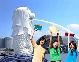 tai-sao-nen-su-hoc-singapore-1.jpg