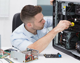 tecmanut.jpg