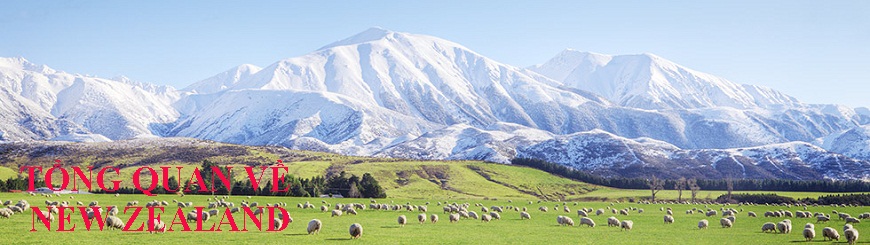 du-hoc-new-zealand-01.jpg